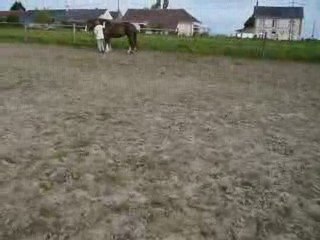 oraure longues rènes