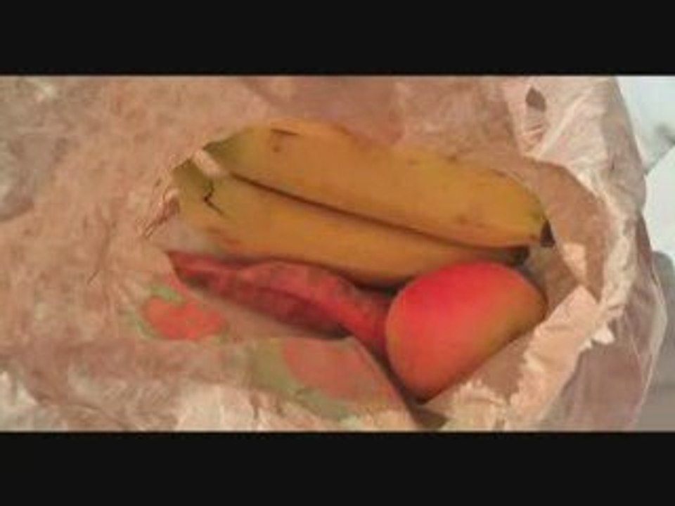 Promenade en Camargue