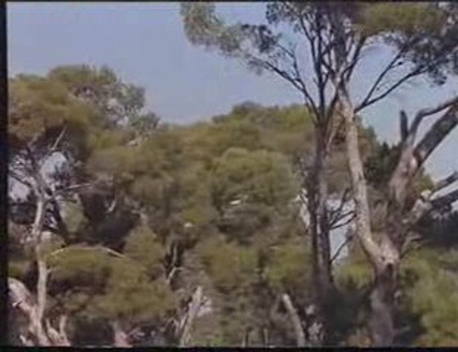 Heureux qui comme Ulysse- occitanie