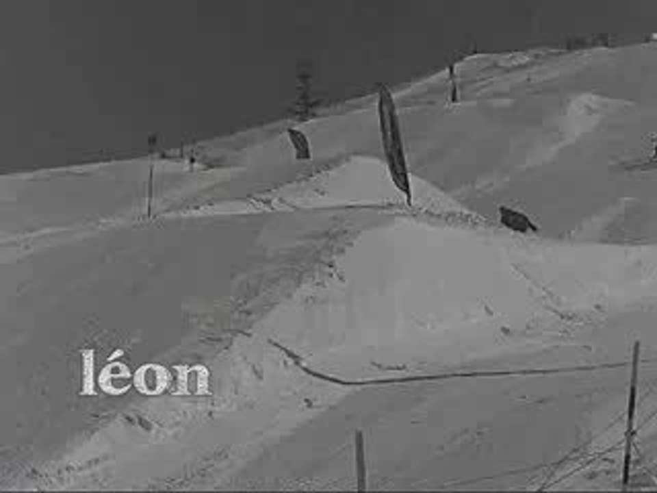 Ski