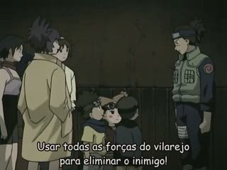 NP[...] 79: Key Insights and Overview