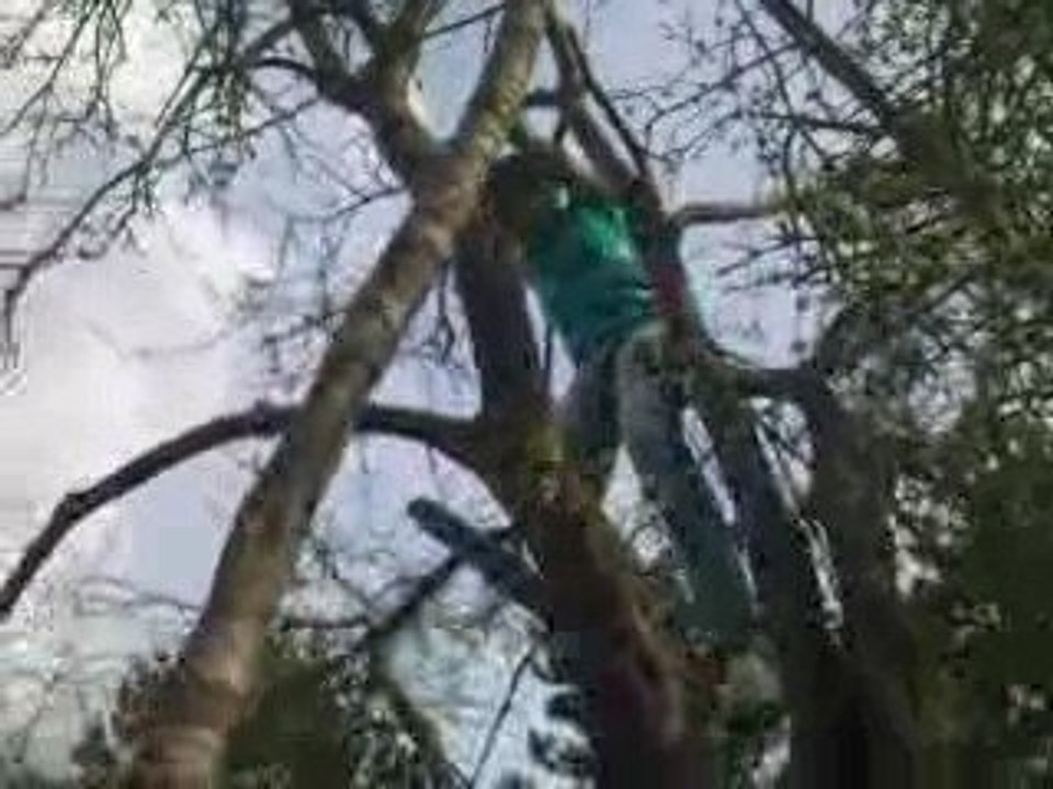 Mwa Aù J3 de BéBé LoL