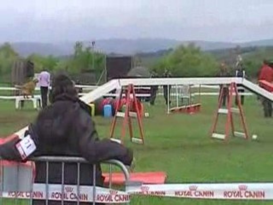 Vipsy et Laure 1er degré Girolles 2009