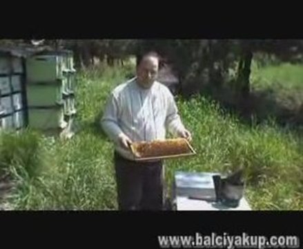 Balcı Yakup Arıcılık ve bal ürünleri