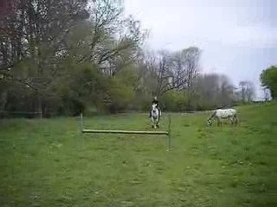 Saut à cru