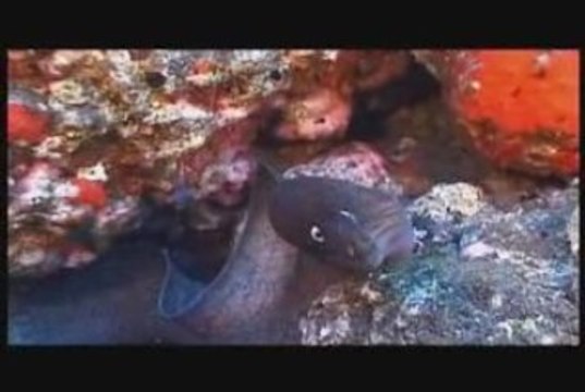 La Palma, Islas Canarias - Canary Islands