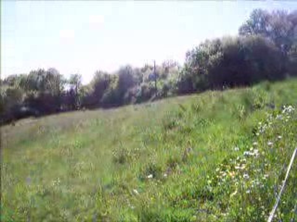 Rando 5 mai 2009 020