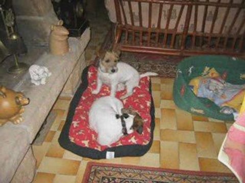 Vacances avril 2009 -2