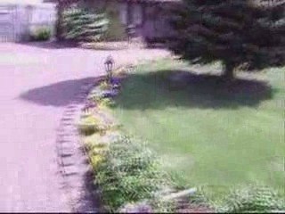 RECEP TUFAN  HOLLANDADA