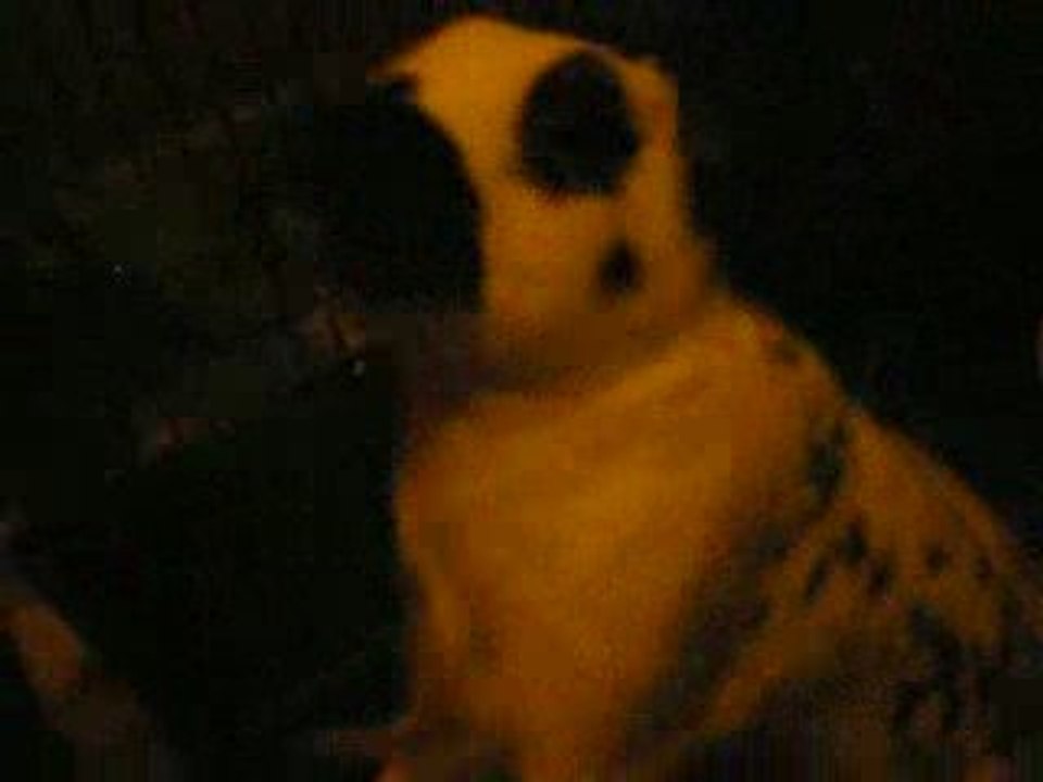 IMGP1458
