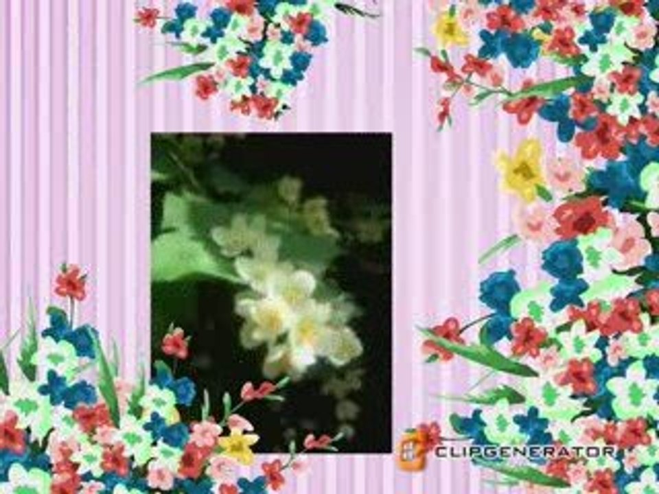 Fantastic flowers