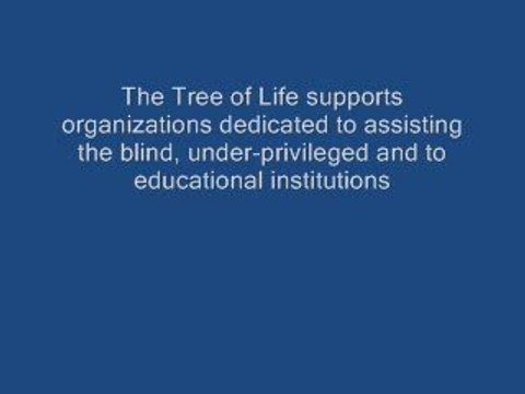 Donate Car,Car Charity,Car Donations