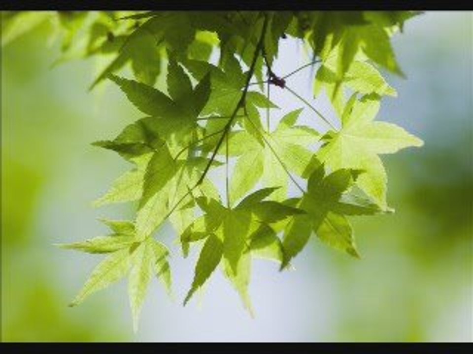 坂本九 - 心の瞳