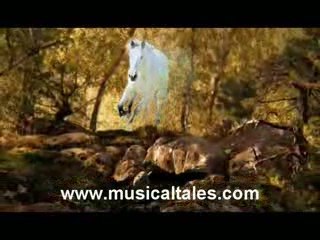 Spanish horse book [Horse books] Helena 1/7