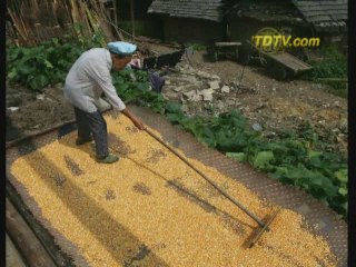 Китайские фермеры спасут экономику от кризиса?