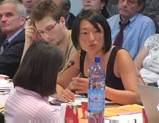 5e plénière :  la citoyenneté et préparation du livre vert