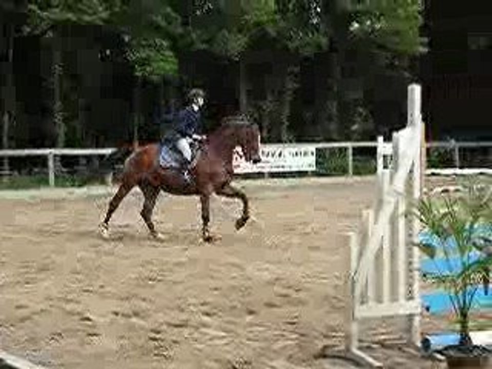 Braspart 21-05-09 pepita 2