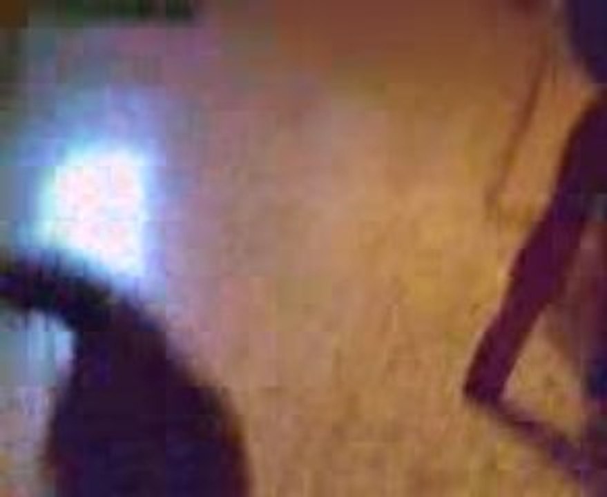 FUNNY CATS: PIXEL AND THE HUNT FOR THE RED LIGHT
