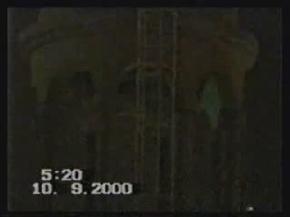 Apparition de la Vierge Marie filmée (Egypte)