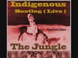Indigenous Eric Gales The Ghost Of Tom Joad RATM cover