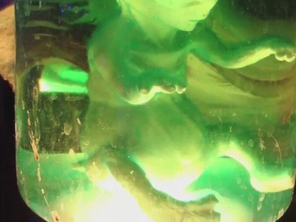 MICROWAVING A PICKLED ALIEN