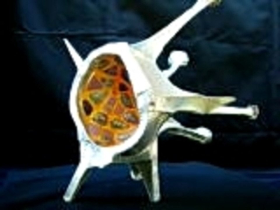 muRex