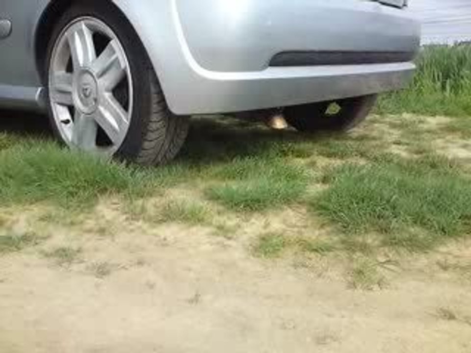 clio RS2 - Ligne inox Renault