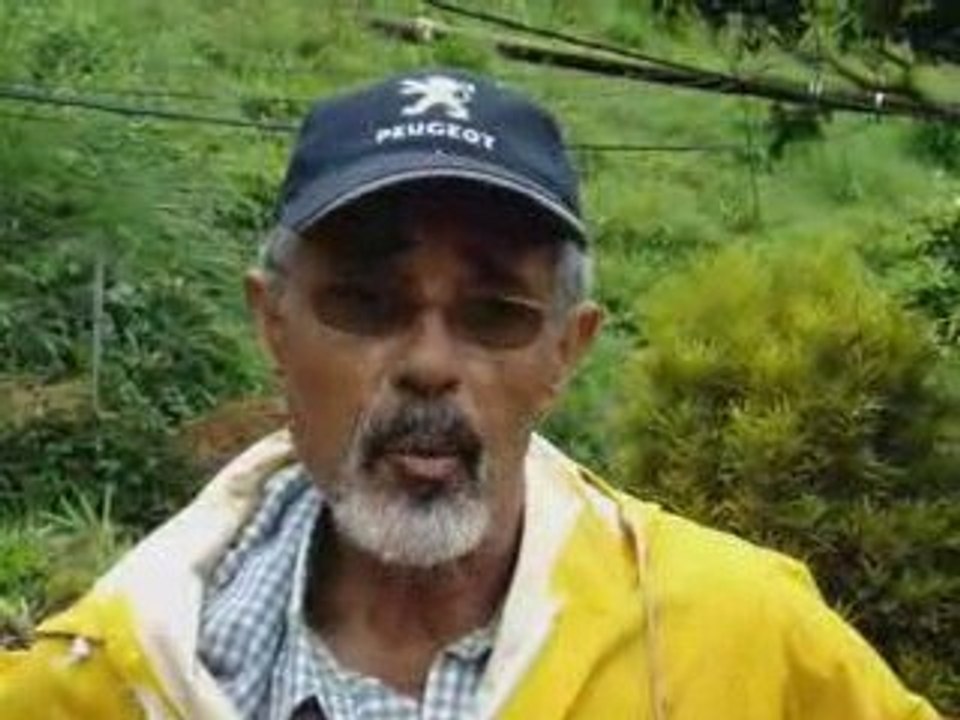 Catastrophe du Gros-Morne PART II