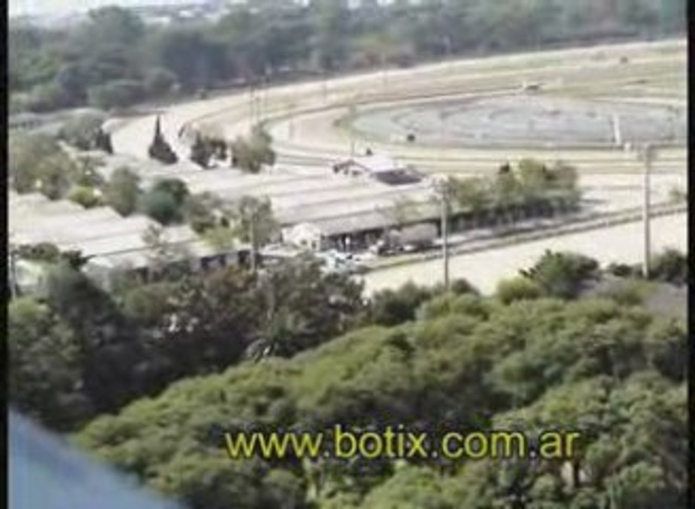 Redes anti anidado de pajaros en un pozo de aire y luz