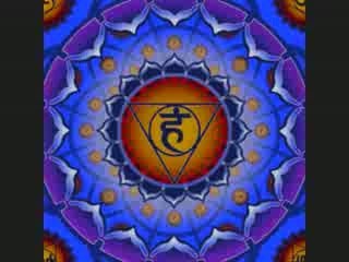 hardrecordeur demo hardcore violon 2