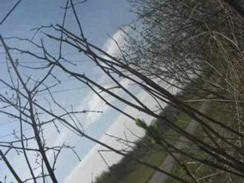 Cyclique : bitume, acier, béton, bitume, acier, béton,...