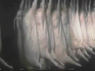 American Holocaust 1 of 5