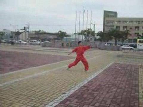 Plum Quan - External Fist Kung Fu