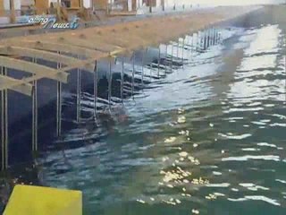 Bertrand Chéret - Comment se forment les vagues