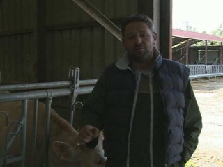 Semaine spéciale Terre à Terre : 2ème volet