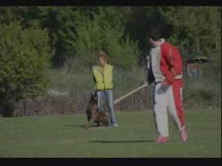 Alien selectif jury C 09