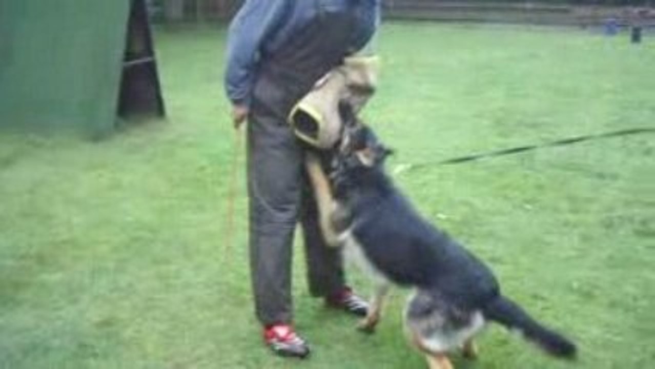 Digger vom Sieben-Teufelsturm