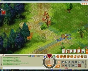 dofus brumaire abraknide