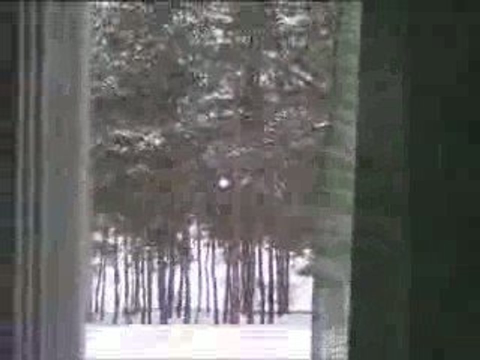 ALIEN MOSCOW BACKYARD Video
