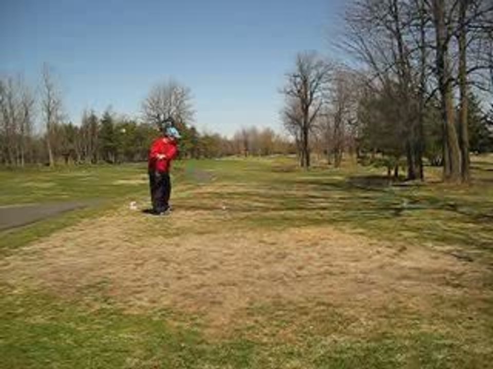 Pat joue au golf avec les arbres
