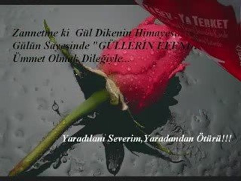 Cavit karabey ben bu gurbeti sevemedim