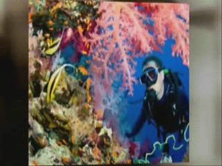 Turks and Caicos Resort