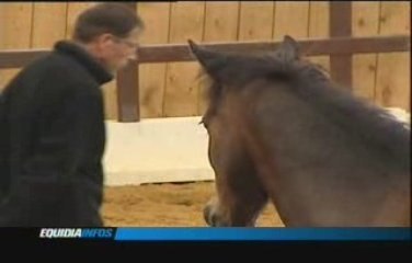 Faites vous coacher par... un cheval!