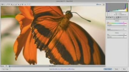 Camera Raw - Part 2 - Photoshop for Video