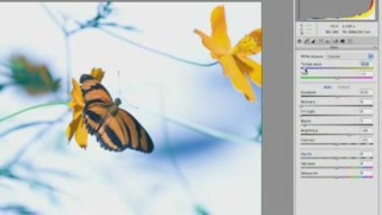 Camera Raw - Part 1 - Photoshop for Video