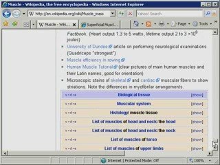 Internet Marketing Roadmap Success: WikisTraffic