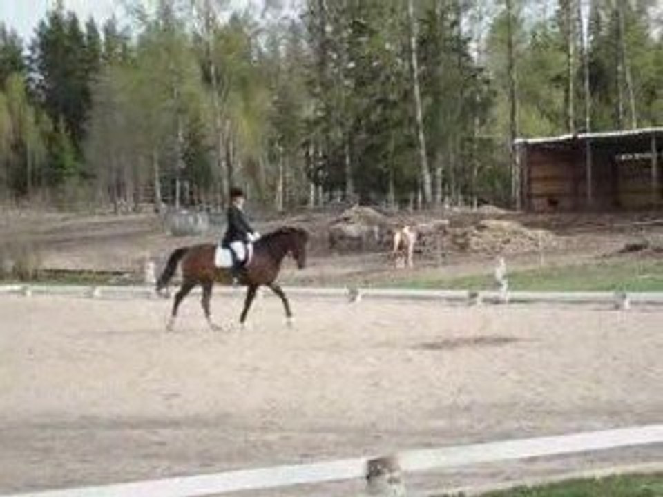 Mistral och Jennifer