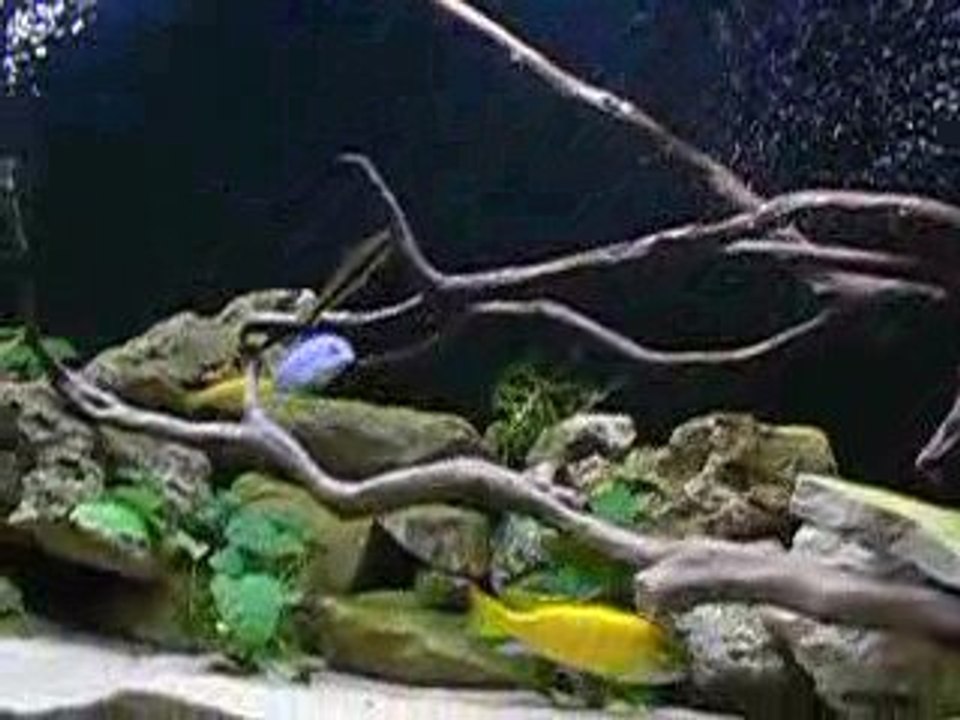 Mon bac 350 litres Malawi