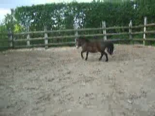 LES TEMPLIERS Octave