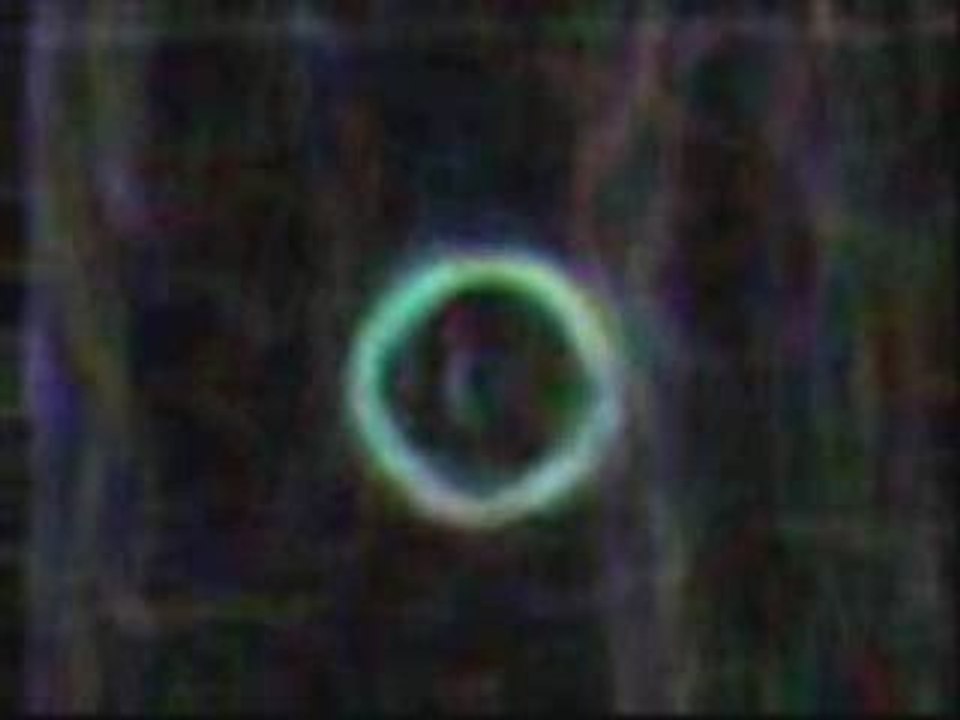 Orbs ?